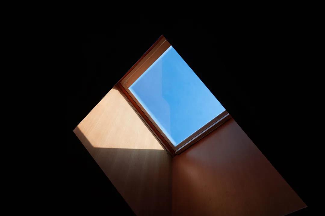 1625822019106658.jpg 望春5.jpg
